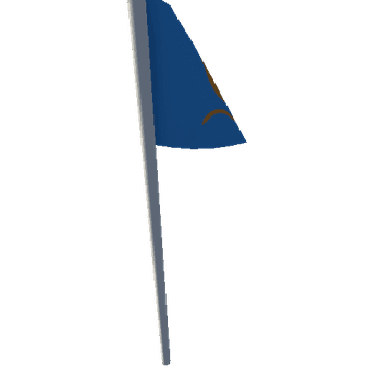 Flag_MESH