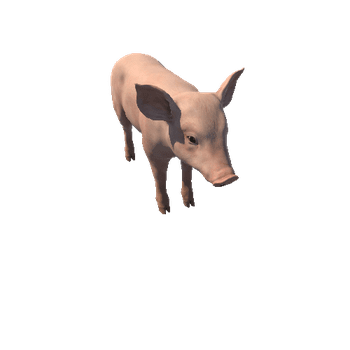 Piggy_HIghPoly_с1