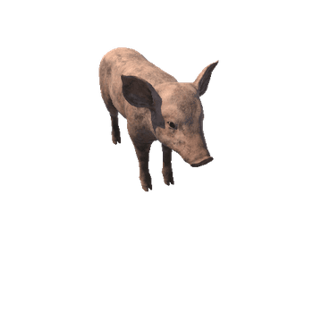 Piggy_HIghPoly_с4