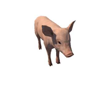 Piggy_LowPoly_с2