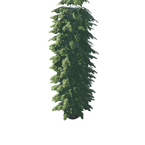 KB3D_LAB_Plant_B