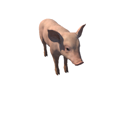 Piggy_HIghPoly_с2