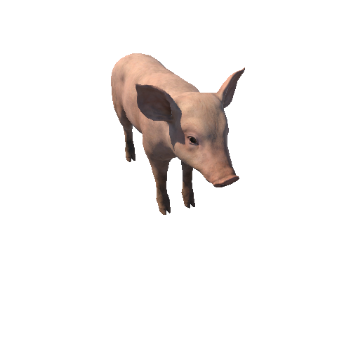 Piggy_HIghPoly_с3