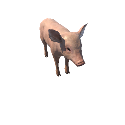 Piggy_LowPoly_с2