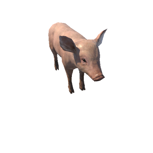 Piggy_LowPoly_с3