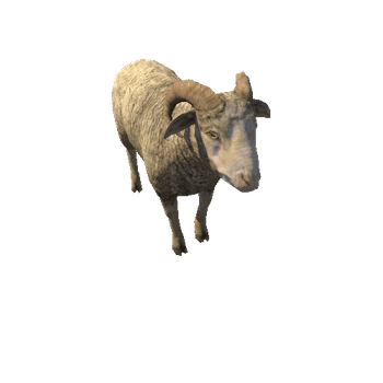 Ram_LowPoly