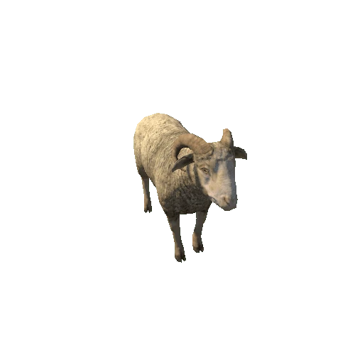 Ram_LowPoly