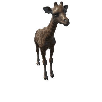 Giraffe_Y_GrowMesh