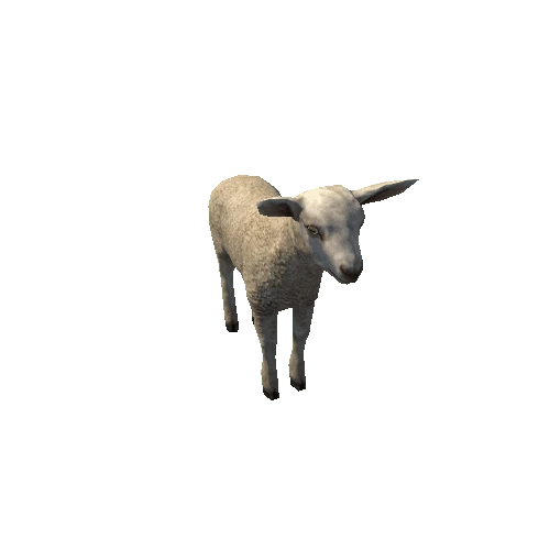 Lamb_LowPoly