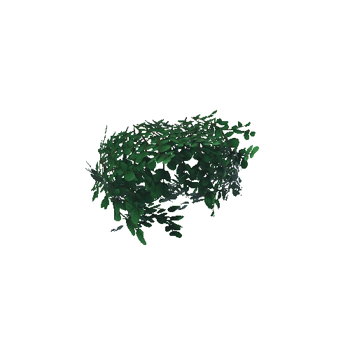 bush_02