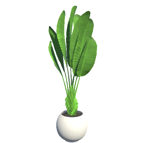 plant_1