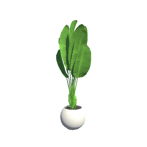 plant_1