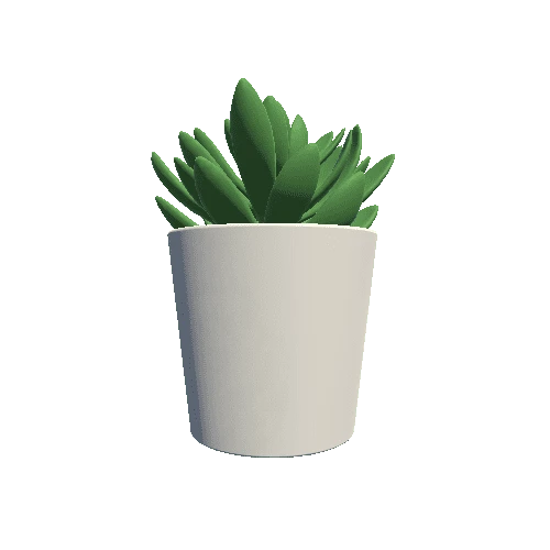 plant_11