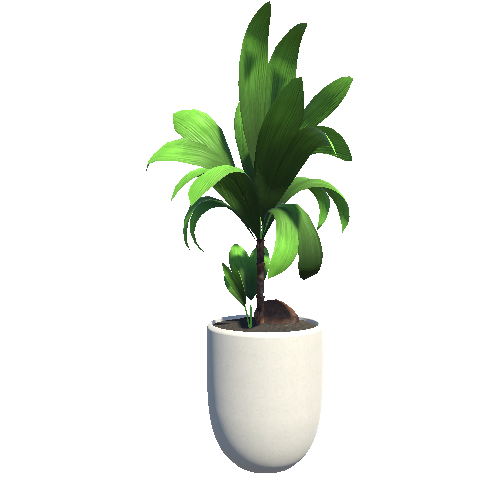 plant_3