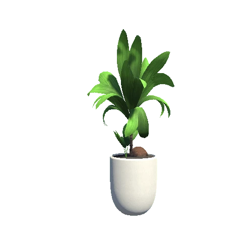 plant_3