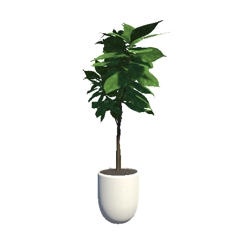 plant_5