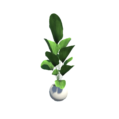 plant_7