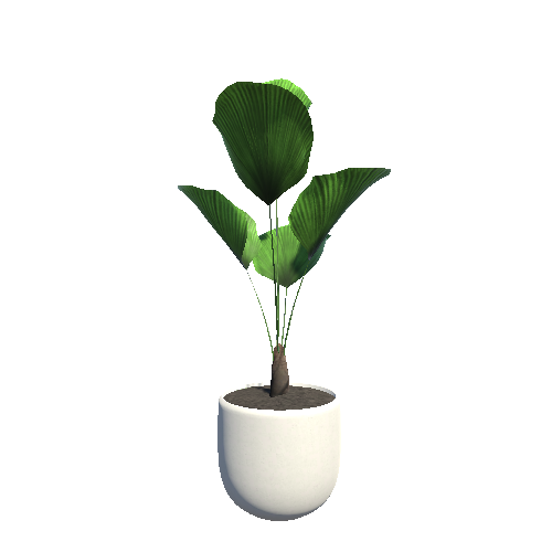 plant_8