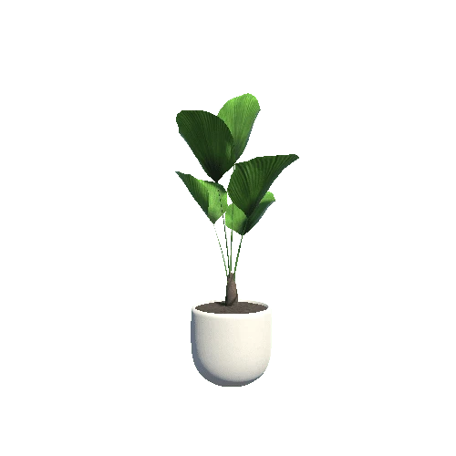 plant_8