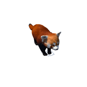 redpanda@idletostand Red Panda