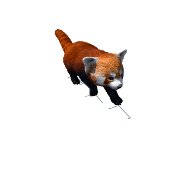 redpanda@jump