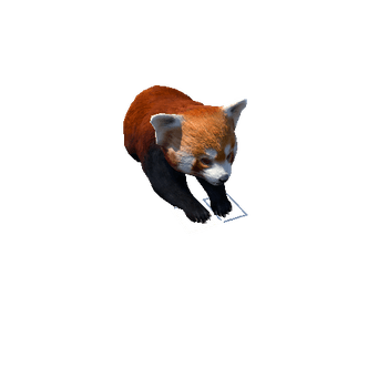 redpanda@lietosleep