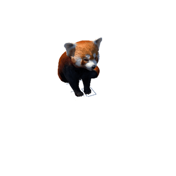 redpanda@seat Red Panda
