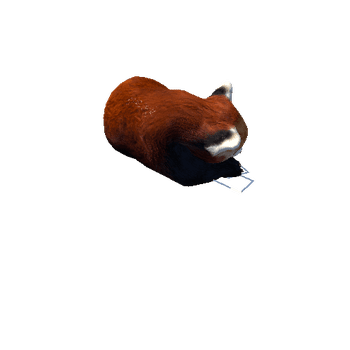 redpanda@sleep