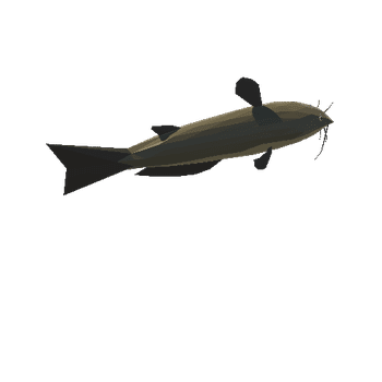 fishCatfish