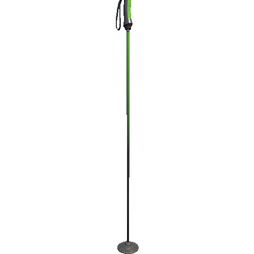 SM_Ski_Pole_01a