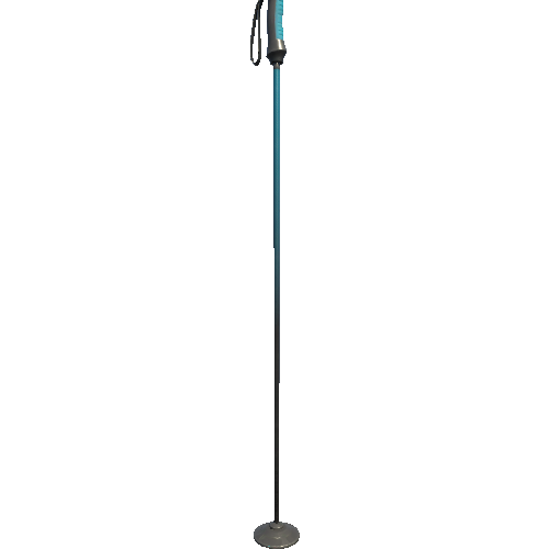 SM_Ski_Pole_01b