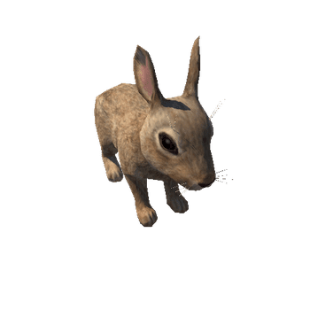 Bunny_LowPoly_c1