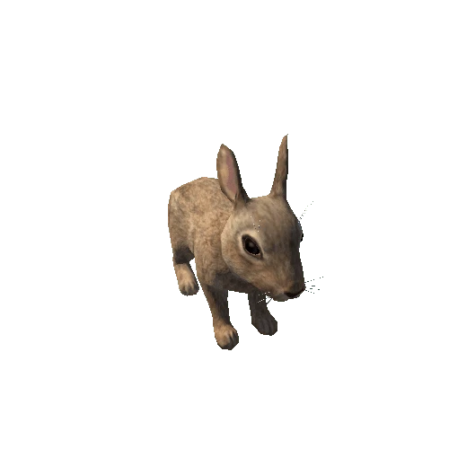 Bunny_LowPoly_c1