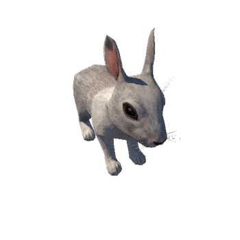 Bunny_LowPoly_c2