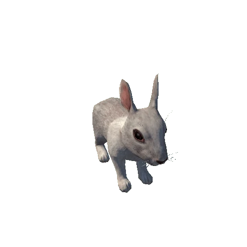 Bunny_LowPoly_c2