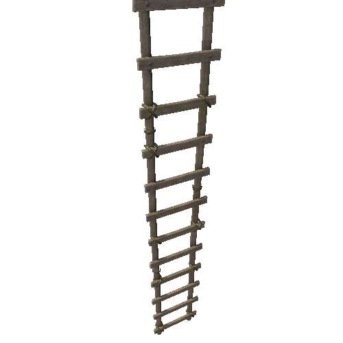 Ladder_1