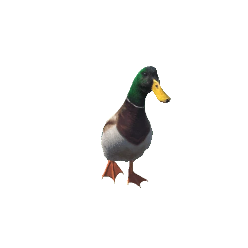 duck@runleft