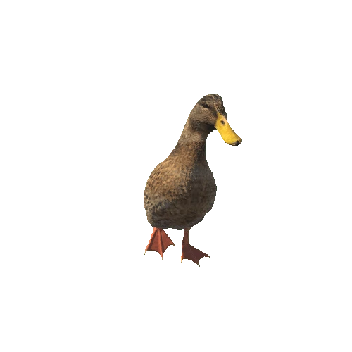 duck@runleft