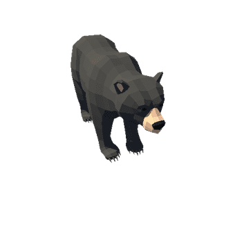 LowPoly_Bear_05