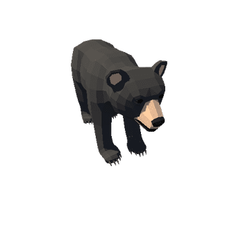 LowPoly_Bear_cub_05