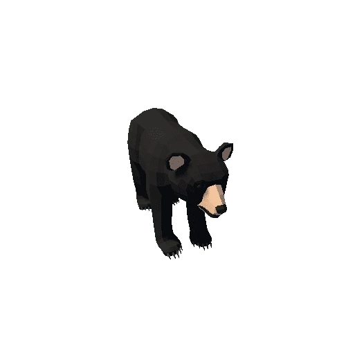 LowPoly_Bear_cub_06