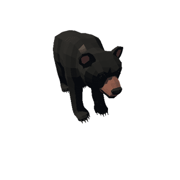 LowPoly_Bear_cub_09