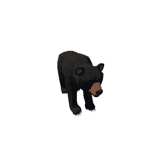 LowPoly_Bear_cub_09