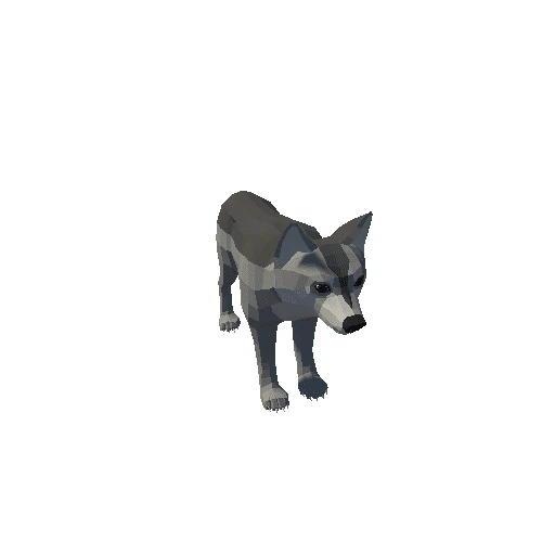 LowPoly_Wolf_Cub_2