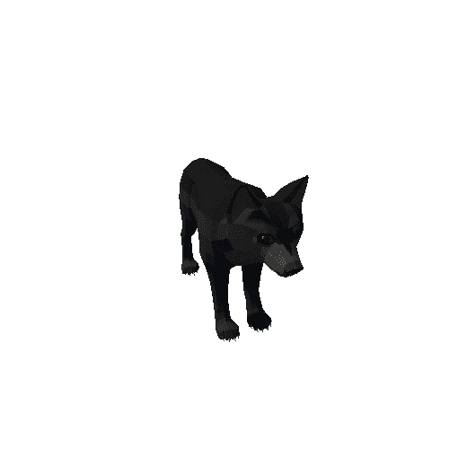 LowPoly_Wolf_Cub_3