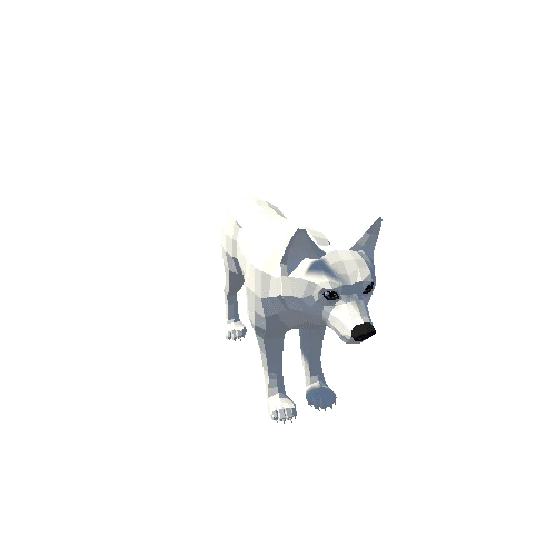 LowPoly_Wolf_Cub_6