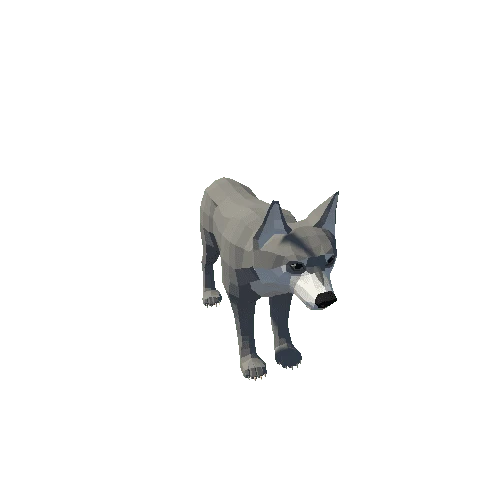 LowPoly_Wolf_Cub_8