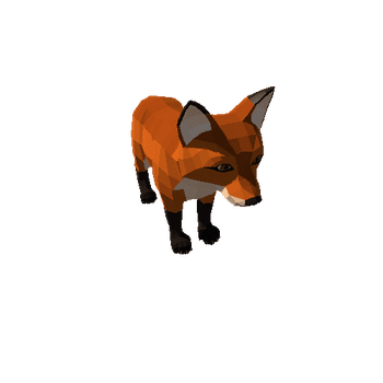 Fox_cub_1