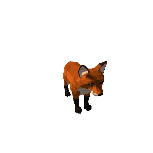 Fox_cub_1