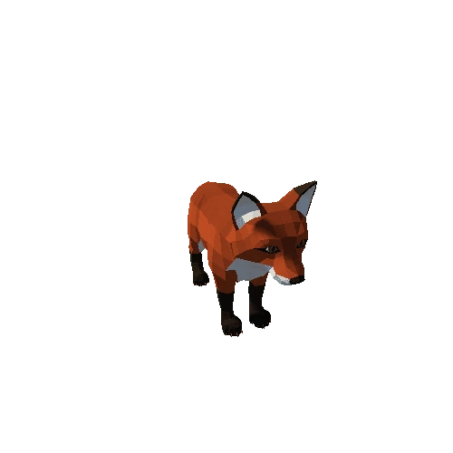 Fox_cub_2